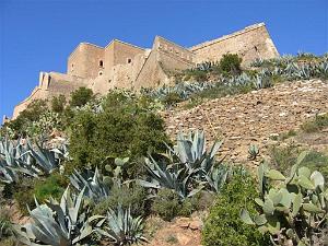 ORAN AVRIL 2007 003